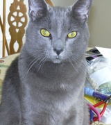 Charles Phillips Photo 1