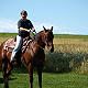 Beth Campbell Photo 1